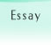 essay